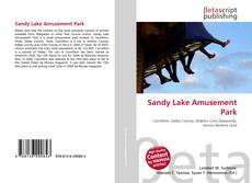 Buchcover von Sandy Lake Amusement Park