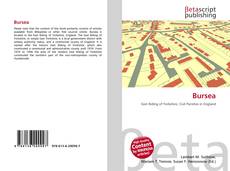 Buchcover von Bursea