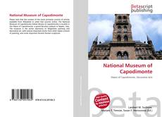 National Museum of Capodimonte的封面