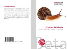 Обложка Erronea Pulchella
