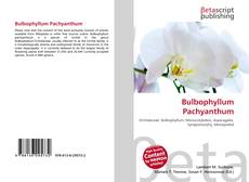 Обложка Bulbophyllum Pachyanthum