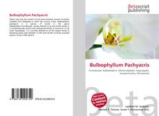 Обложка Bulbophyllum Pachyacris