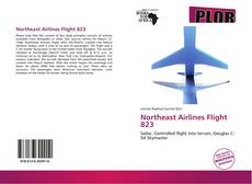 Bookcover of Northeast Airlines Flight 823