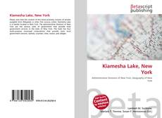 Buchcover von Kiamesha Lake, New York