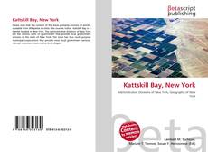 Buchcover von Kattskill Bay, New York