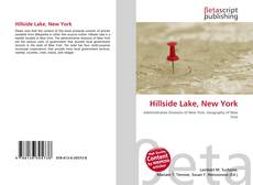 Hillside Lake, New York的封面