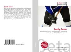 Capa do livro de Sandy Snow 