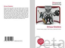 Buchcover von Orissa Steelers