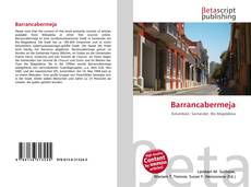 Buchcover von Barrancabermeja