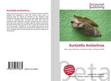 Обложка Kurtziella Antiochroa