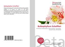 Buchcover von Bulbophyllum Scheffleri
