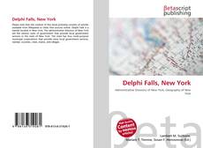 Bookcover of Delphi Falls, New York