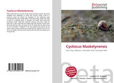 Cystiscus Maskelynensis的封面