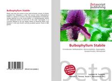 Buchcover von Bulbophyllum Stabile