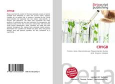 Buchcover von CRYGB