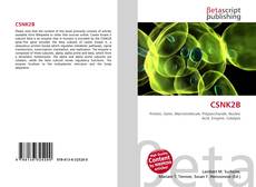 Buchcover von CSNK2B
