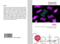 Copertina di CST2