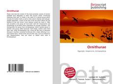 Обложка Ornithurae