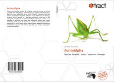 Portada del libro de Acritotilpha