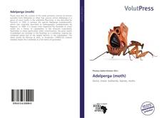 Portada del libro de Adelperga (moth)