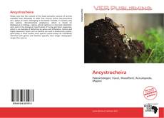Buchcover von Ancystrocheira