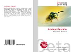 Ampulex fasciata的封面