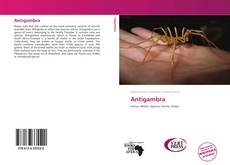Bookcover of Antigambra