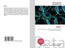 Buchcover von CUL7