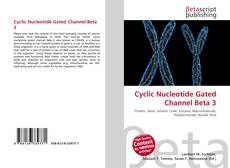 Buchcover von Cyclic Nucleotide Gated Channel Beta 3