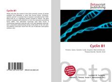 Buchcover von Cyclin B1