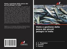 Borítókép a  Stato e gestione della pesca dei piccoli pelagici in India - hoz