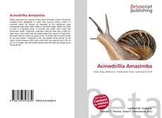 Acinodrillia Amazimba的封面
