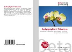 Capa do livro de Bulbophyllum Tekuense 