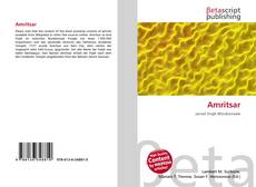 Portada del libro de Amritsar