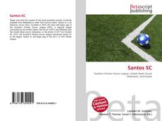 Santos SC kitap kapağı