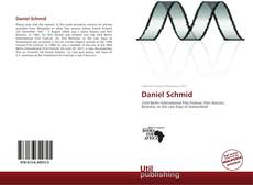 Daniel Schmid kitap kapağı
