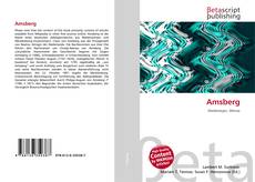 Amsberg的封面