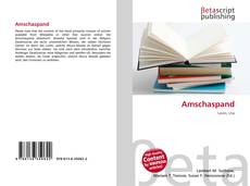 Copertina di Amschaspand