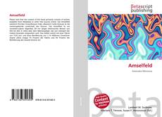 Capa do livro de Amselfeld 