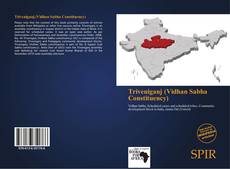Buchcover von Triveniganj (Vidhan Sabha Constituency)