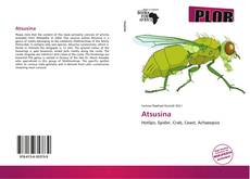 Capa do livro de Atsusina 