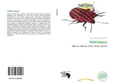 Bookcover of Attercopus