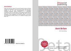 Capa do livro de Amt Brilon 
