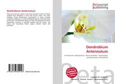 Dendrobium Antennatum的封面