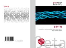 Buchcover von DDX19B