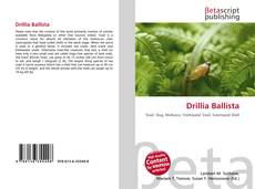 Copertina di Drillia Ballista