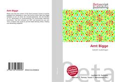 Amt Bigge的封面