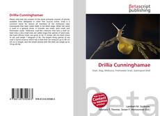 Copertina di Drillia Cunninghamae