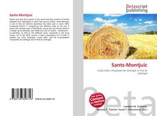 Buchcover von Sants-Montjuïc