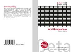Copertina di Amt Dringenberg